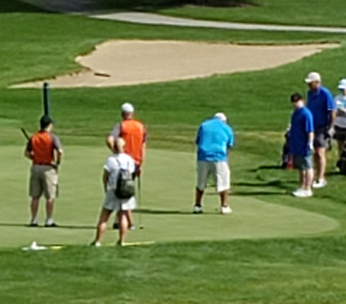 Donna Hazelett tweet media