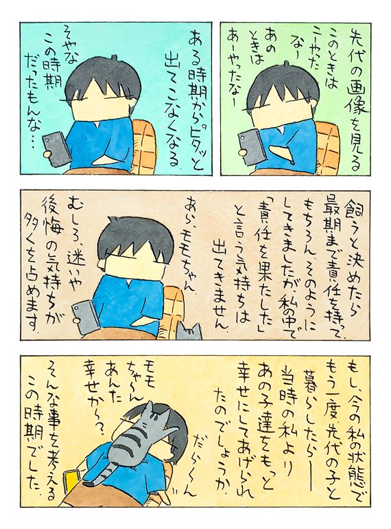 先代の時期│フェリシモ猫部 https://t.co/qZzDCHDEvD 