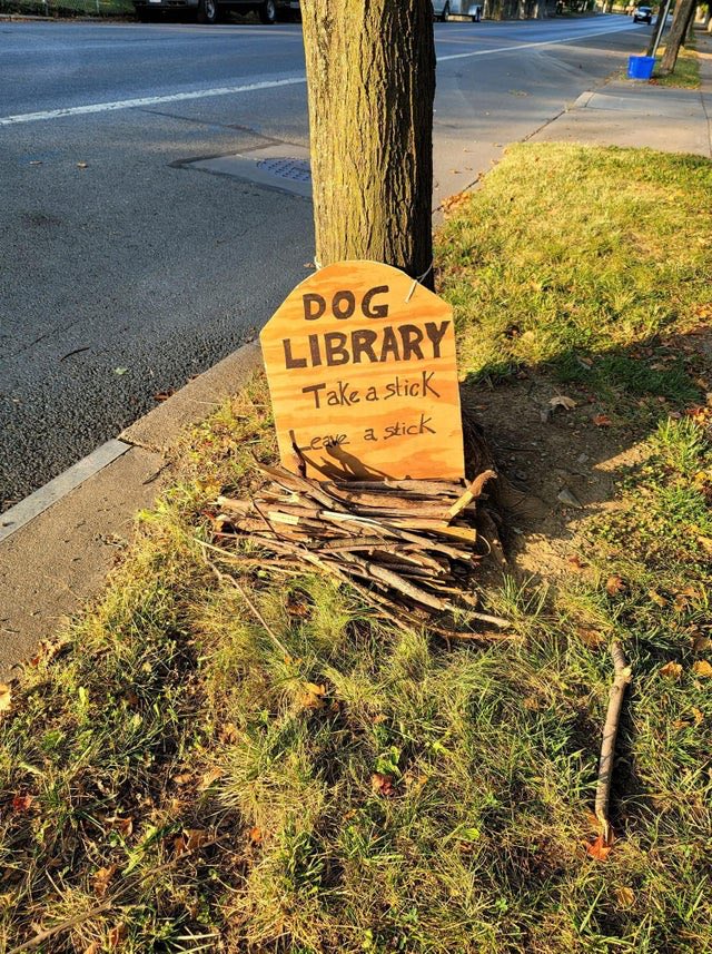 David Coverdale tweet media