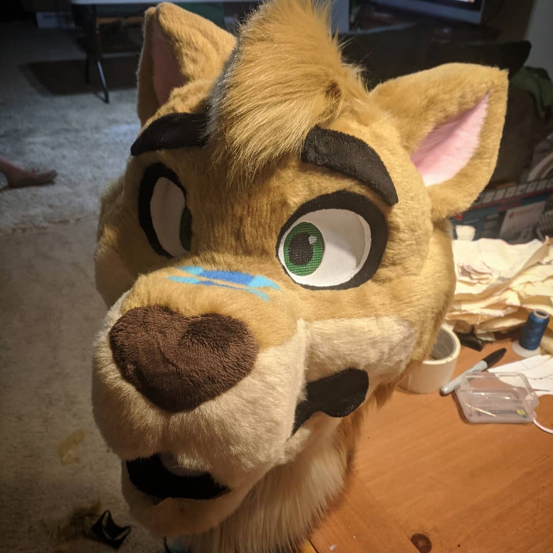 Mrs_Succubus's tweet photo. Finished head for Chester the Geroo's full partial commission.
#furry #fursuit #fursuitmaker #geroo https://t.co/Npg2TYqN1Q