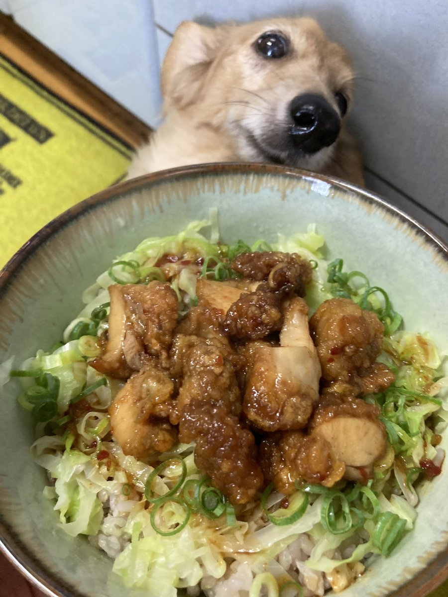 みんなの ダックス 唐揚げ 口コミ 評判 食べたいランチ 夜ごはんがきっと見つかる ナウティスイーツ みんなの ダックス 唐揚げ 口コミ 評判 食べたいランチ 夜ごはんがきっと見つかる ナウティスイーツ