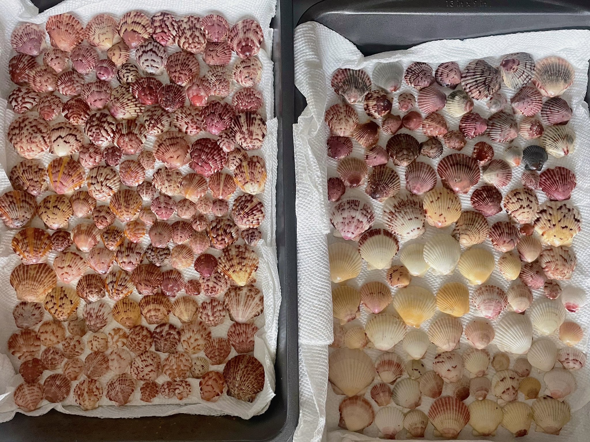 TW Pornstars - 2 pic. RL RUNESCAPE GF. Twitter. spent my saturday