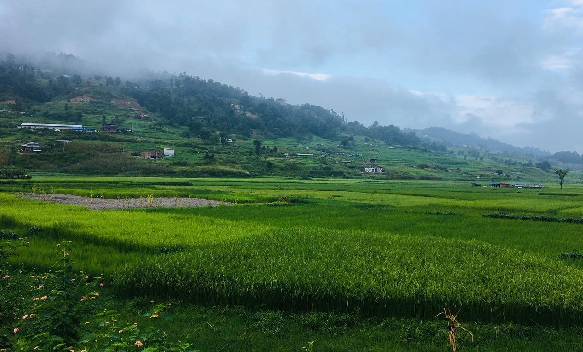 SKVlogging's tweet photo. Good Morning #ktm
#naturebeauty #chill😁😁
#ktmtour #fullmasti👊👊
Today Plan #visit चागुनारायण मन्दिर😎😎
#SKVlogging #chagunarayanmandir 

@TechSanjayKumar @SKVlogging @HamroSunsari @kamalba12922225 https://t.co/gZEcDmoGo1