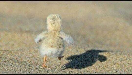 LED0_10's tweet photo. سارحل وستندمون …. 🚶🚶 https://t.co/5nphKA86Fz
