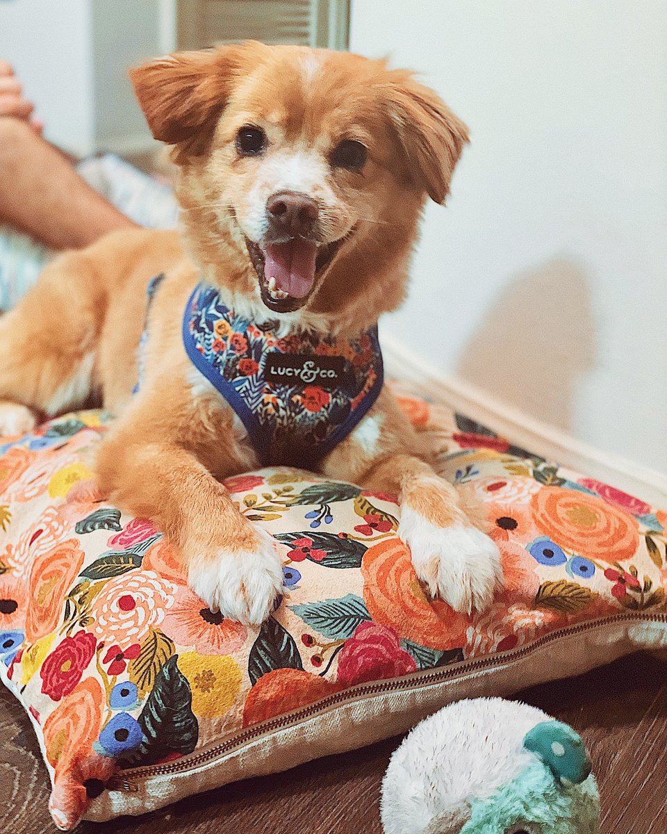 Bea is truly the happiest girl 🤩