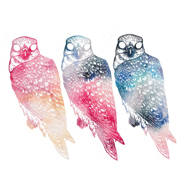 Djmaclure's tweet image. Starting the weekend off with Flyying Colours and their 2016 release Mindfullness. #FlyyingColours #shoegaze