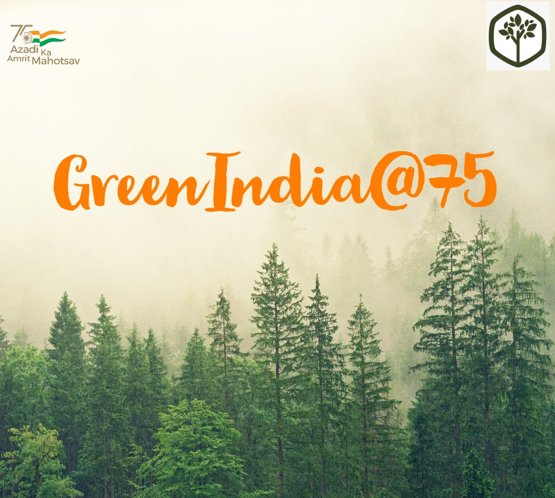 WePlant Foundation tweet media