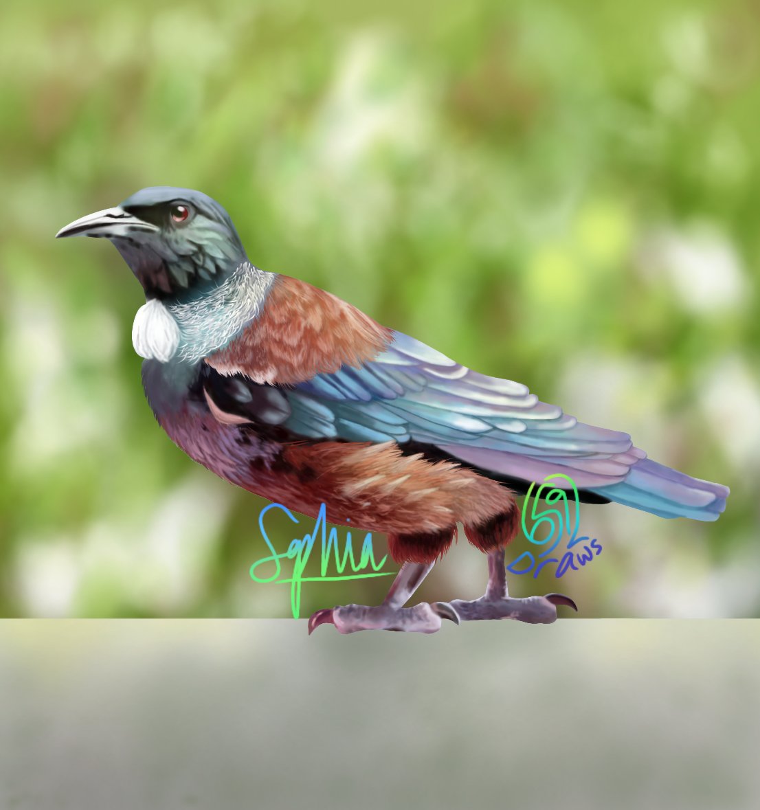 meoskyan_art's tweet photo. im pretty sure i drew the majority of this in class #birdart #tuibird #nzbirds https://t.co/olxgwdLy7i