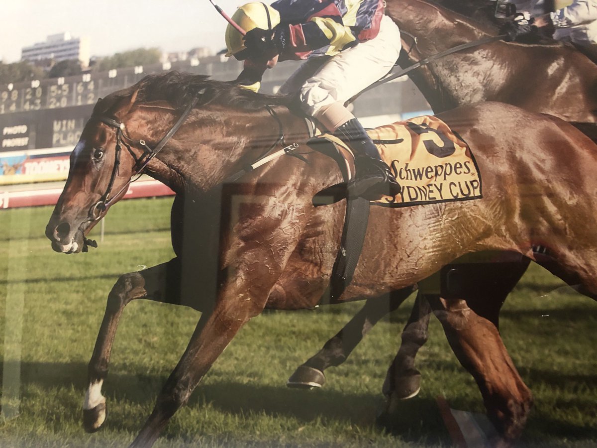 Kim Waugh tweet media