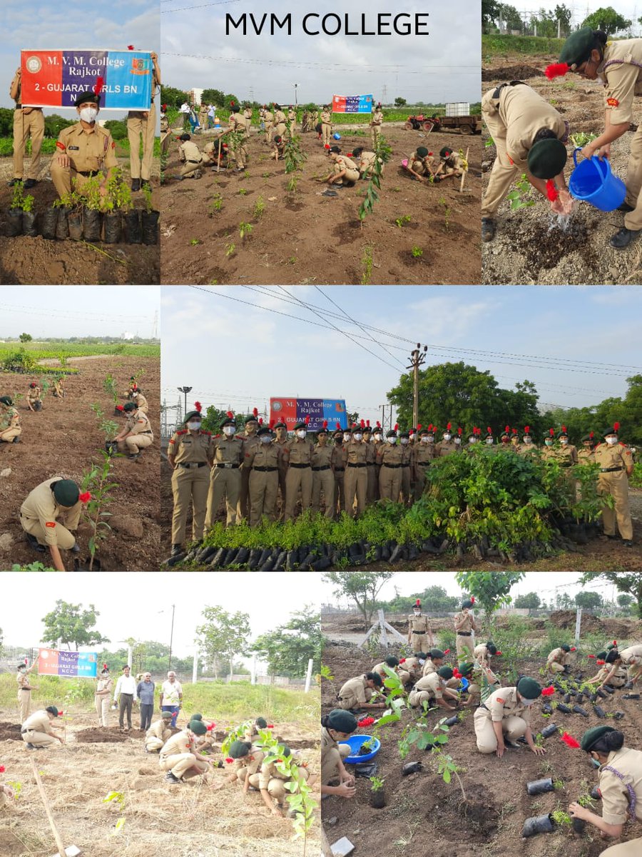 GograNandita's tweet photo. #IDC2021
As a part of 75th independence day celebration.. cadets of 2 guj girls bn #NCC Rajkot MVM college planted 625 plants.
@pro defense gujarat
@adgpi @HQ_DG_NCC
@TarunKAich @2 Gujarat girls BN NCC 
#NCC https://t.co/DoOWbQdFRm