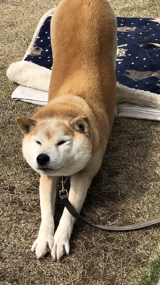 Suzu96814504's tweet image. #PixelRt