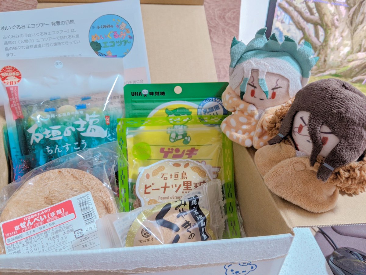 あねこ V Twitter 旅行に行ってたぬいが帰ってきたよ おみやげたくさんありがとう フォトブック尊すぎてビャッて泣いてしまった ツアー本当にお世話になりました Dcstぬい部 ぬいぐるみエコツアー あねこ V Twitter 旅行に行ってたぬいが帰ってきたよ おみやげたくさんありがとう フォトブック尊すぎてビャッて泣いてしまった ツアー本当にお世話になりました Dcstぬい部 ぬいぐるみエコツアー