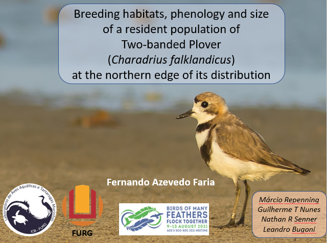 Faria_Fernando_'s tweet image. Glad to talk on the #AOS2021 about our #research on two-banded-#plover conducted in southern Brazil.