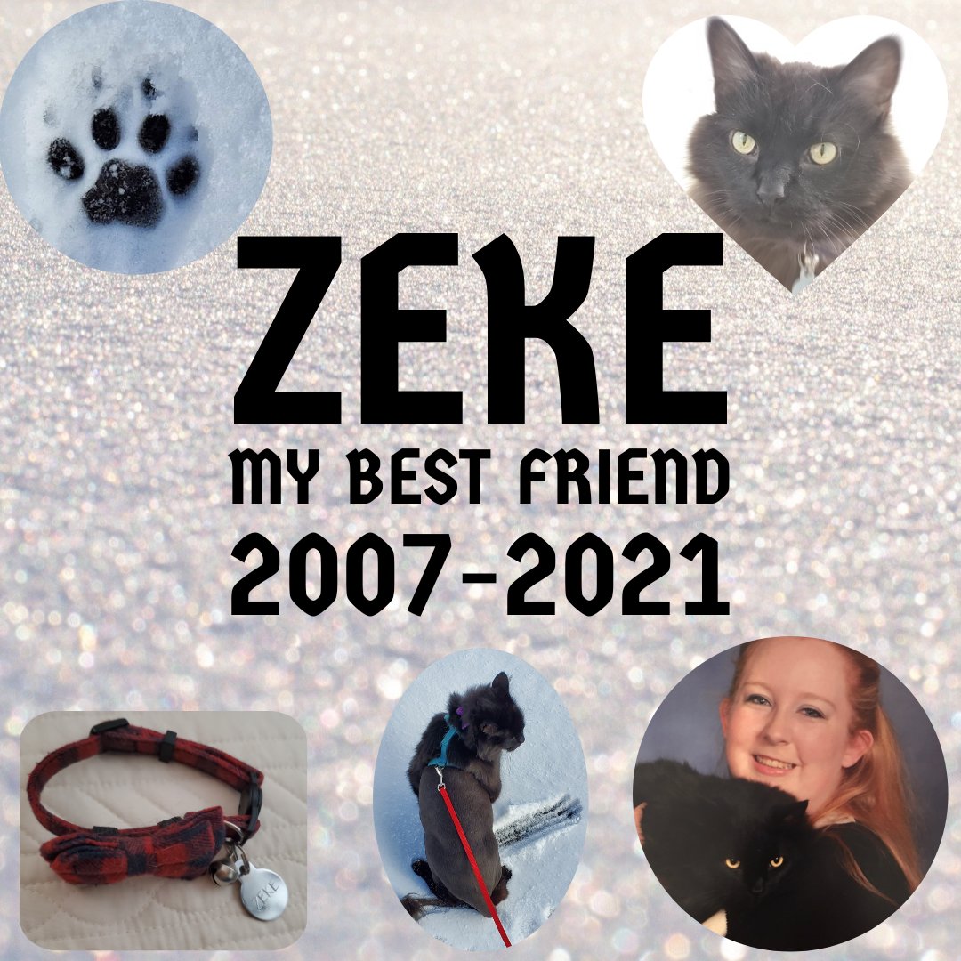 GamerTangled's tweet image. LF artist to commission an avatar of me with my 3 kitties (or just them), including Zeke who passed 8/2/2021.  I have been absent from streaming for quite a while due to teaching but y'all know people. Working on healing from this loss. 💔 still.  Thanks!