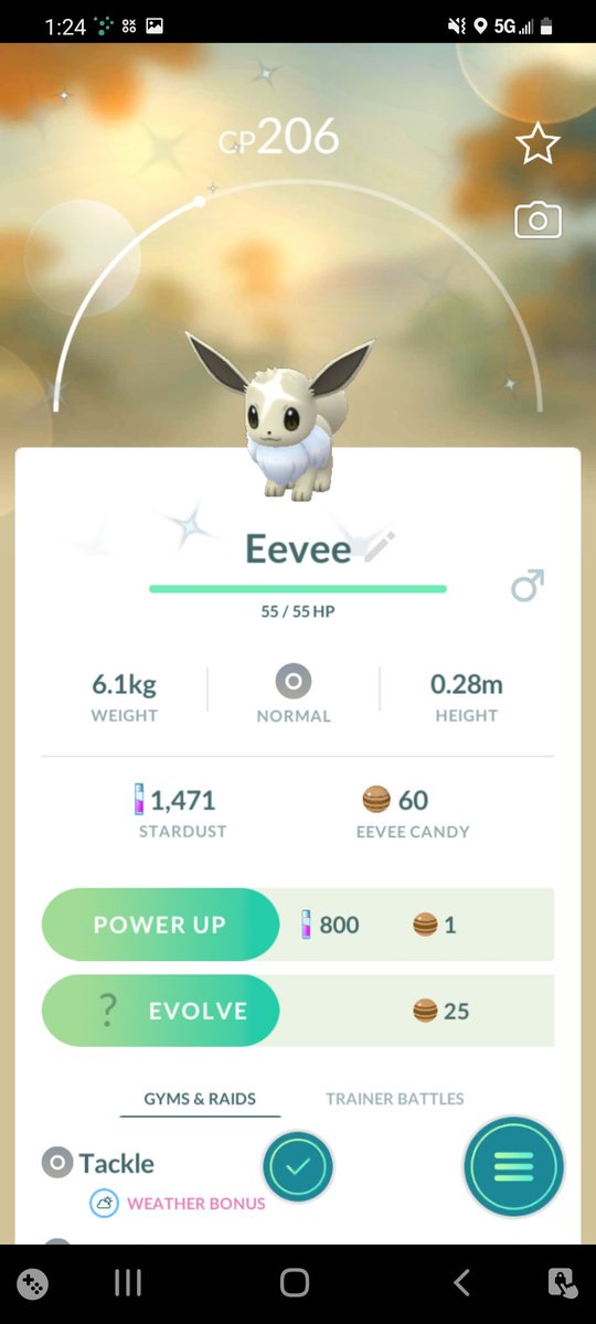 lynn0835's tweet image. @PokemonGoApp my first #ShineyEevee
