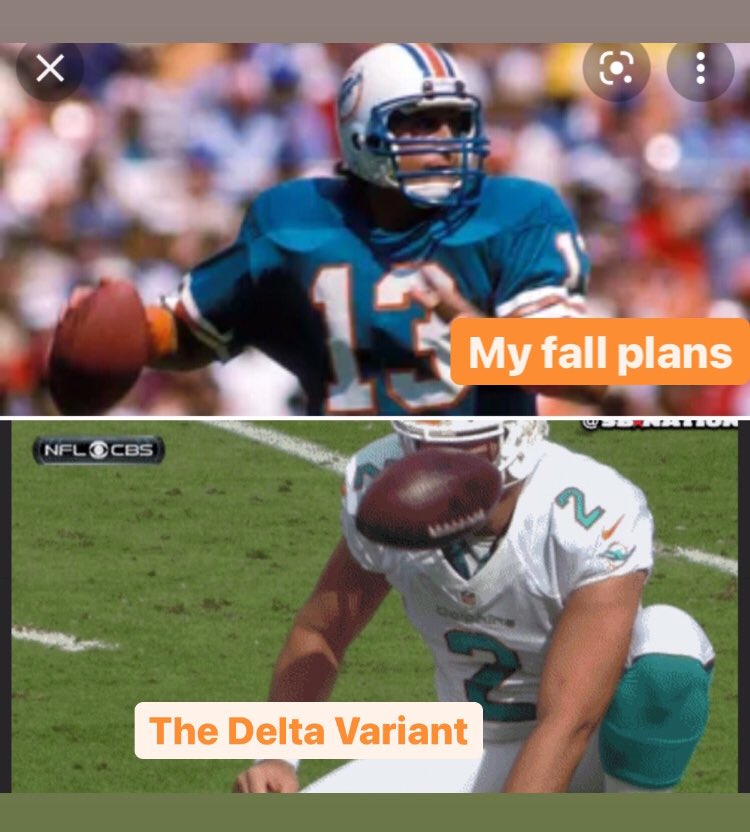 rwagnerful's tweet image. I made a meme, did I do this right?

 #meme #myfallplans #MiamiDolphins