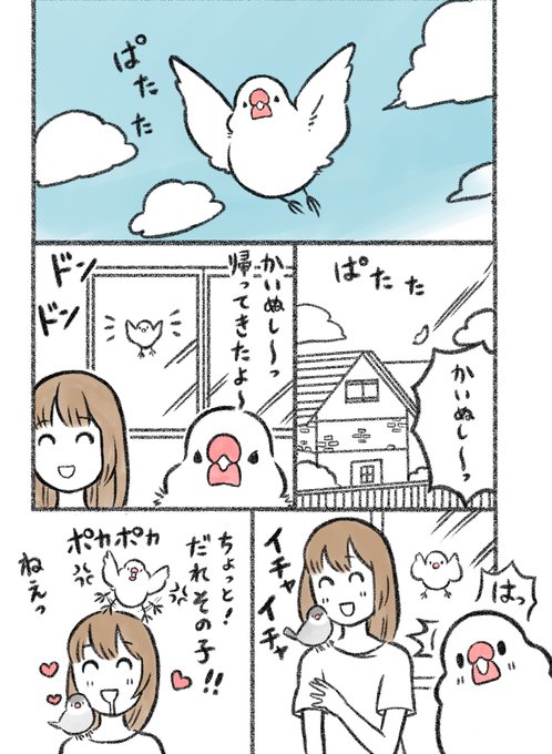 マンガ「お盆のおかえり」

#文鳥  #漫画が読めるハッシュタグ 