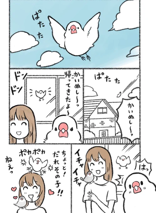 マンガ「お盆のおかえり」

#文鳥  #漫画が読めるハッシュタグ 