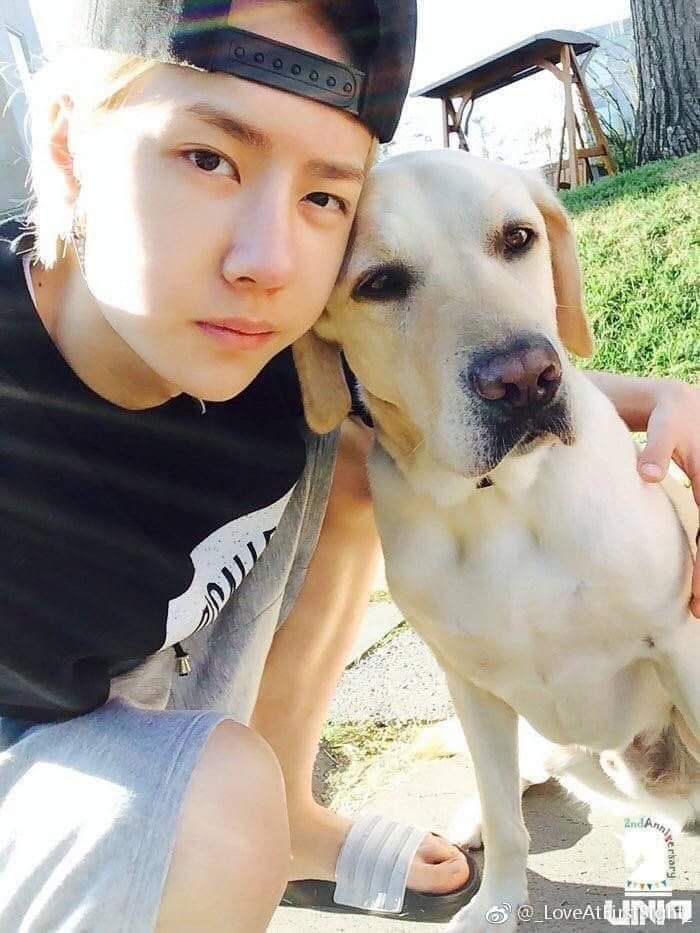 Another_Kee's tweet photo. น้องป๋อมาถ่ายรูปคุู่กับฉันด้วยล่ะ!!!
#WangYibo王一博 https://t.co/4uNFHVPlLA