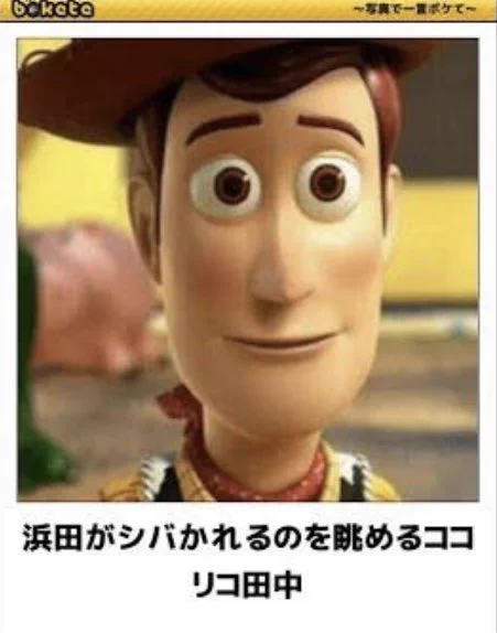 @kituneyahonpo64 ぼくはこれ。 