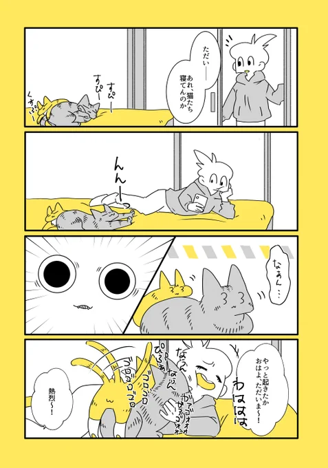 猫と子猫と帰宅のはなし
https://t.co/enXueZz4IG 