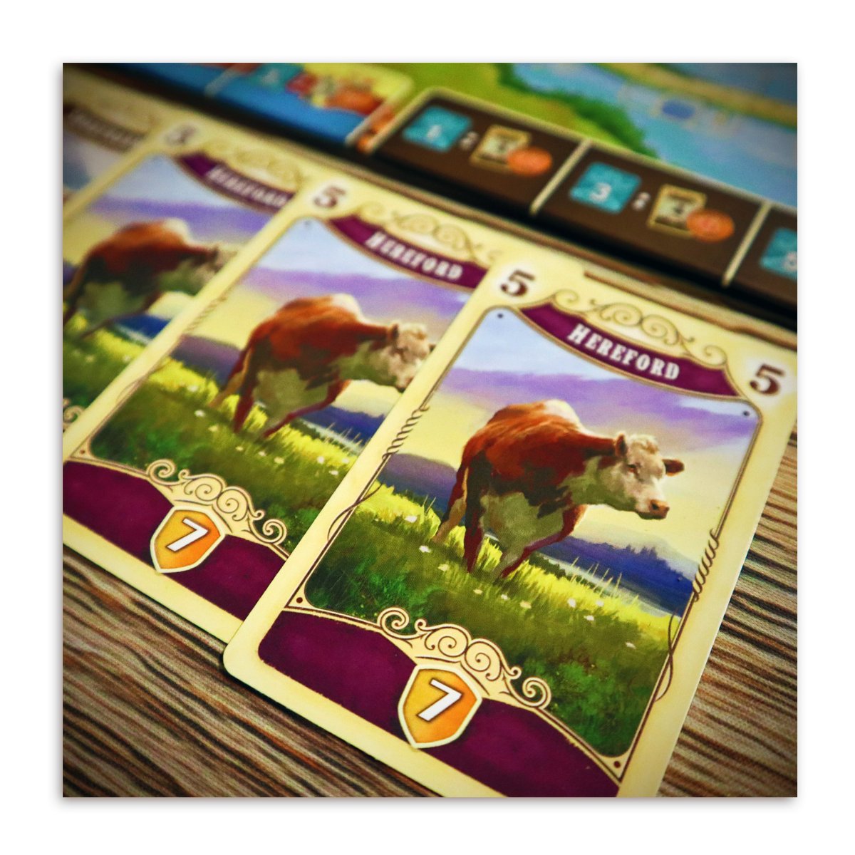 VR_Distribution's tweet image. Great Western Trail 2.0 is coming! @PlanBGames_ @eggertspiele