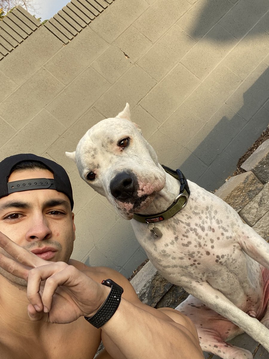 __danielguzman's tweet image. Missing my big guy a lot tonight, dogs need to live forever 😭