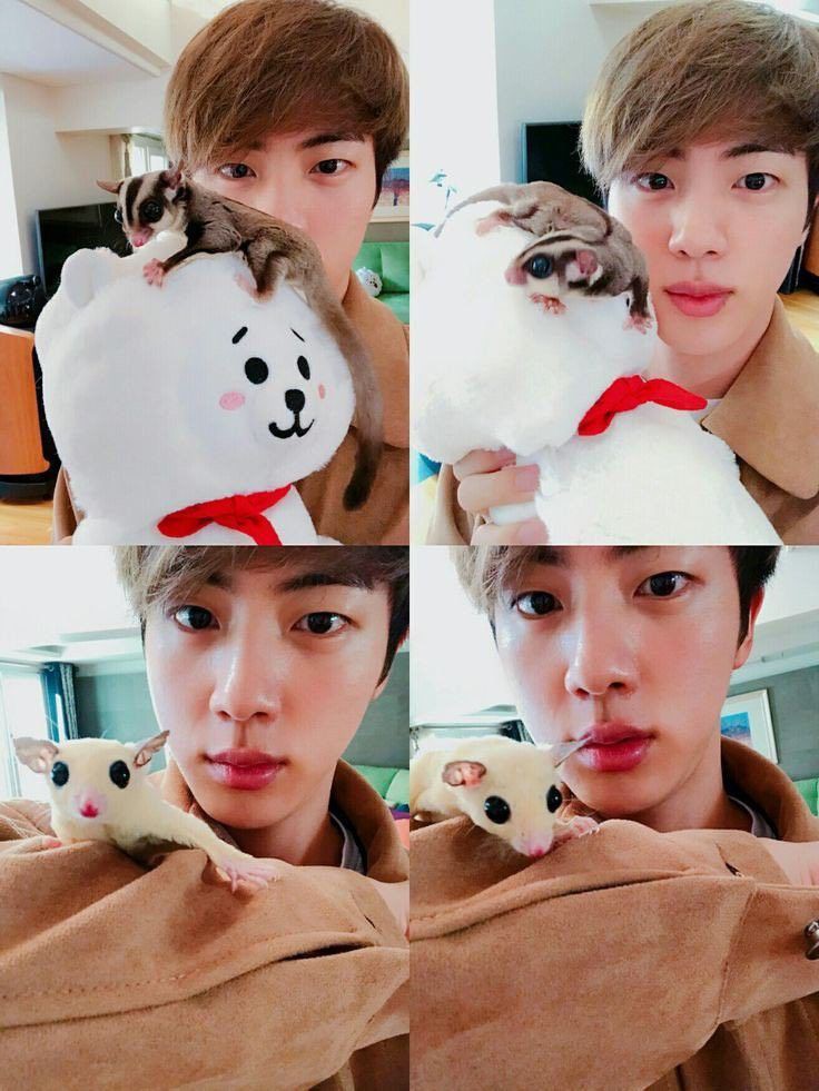 персонажи бтс. бтс чимин с животными. бтс животные. животные из бтс. персонажи участников бтс.
