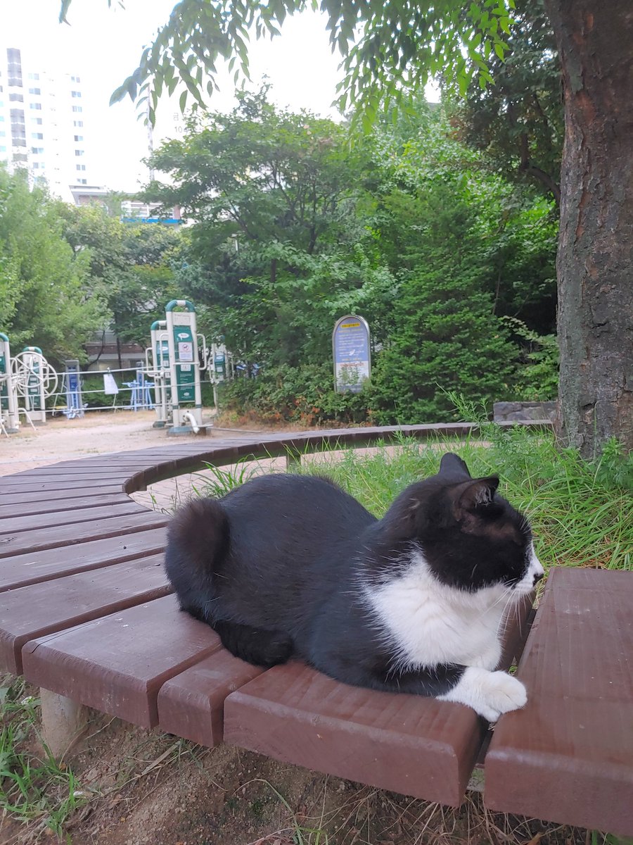 주 (@scjsdo) on Twitter photo 