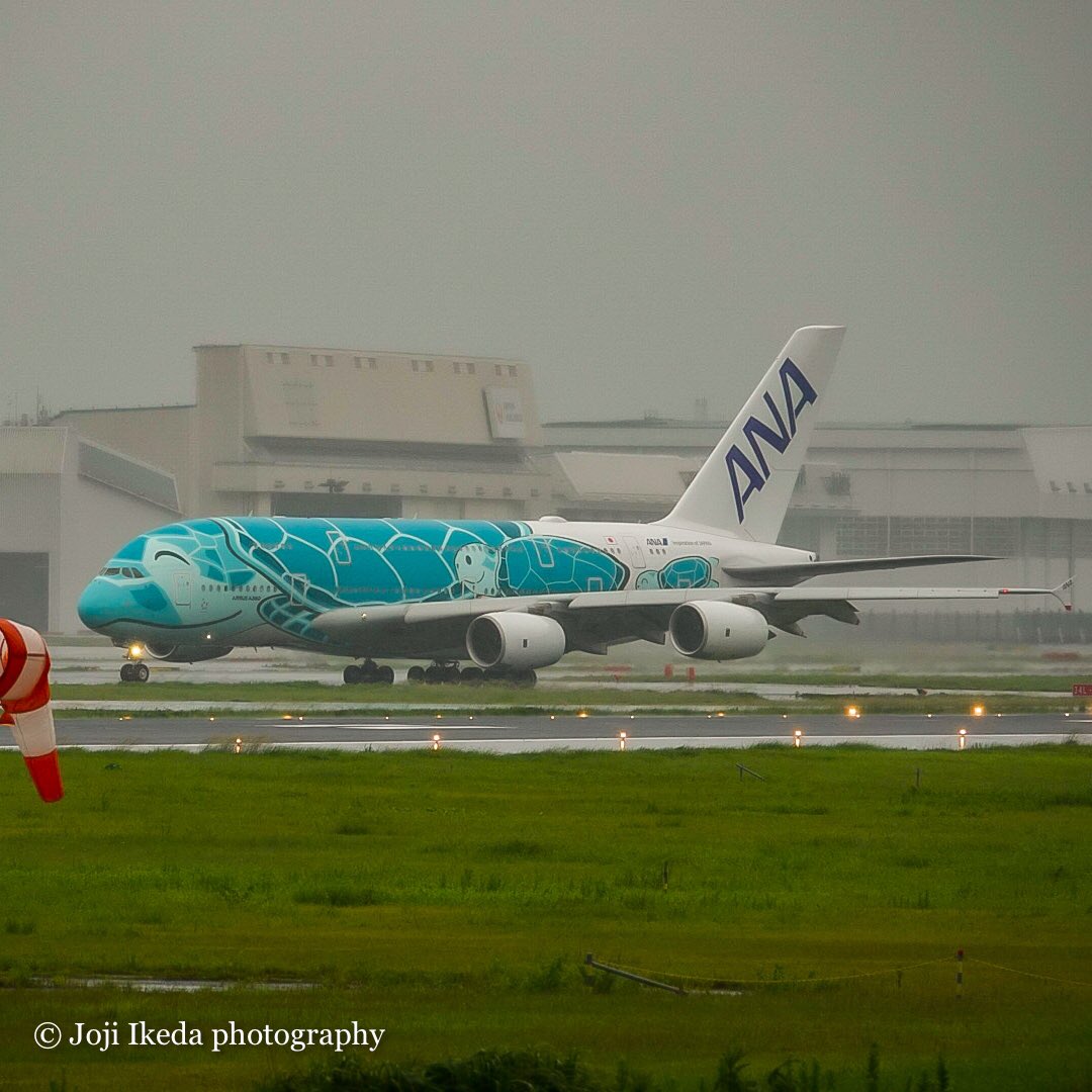 IT_TREK's tweet photo. エンドミスって証拠写真のみorz
（お帰りカイくん）

#NH184 #NH183 #A380 #ガイアの夜明け ＃フライングホヌ #ANA ＃成田空港 #NRT #さくらの山公園 https://t.co/KdYkLwOwXd