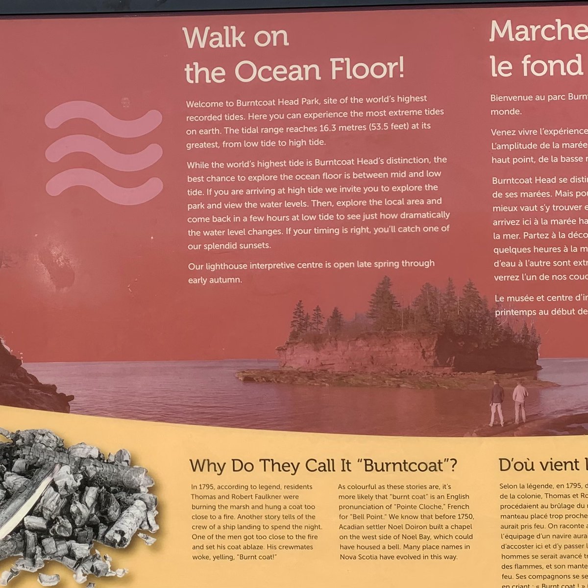 Hubble_BTerrier's tweet image. Today we visited #BurntcoatHeadPark, home to the world&apos;s highest tides, to walk on the ocean floor. 😃 #BTPosse #Hubblecam