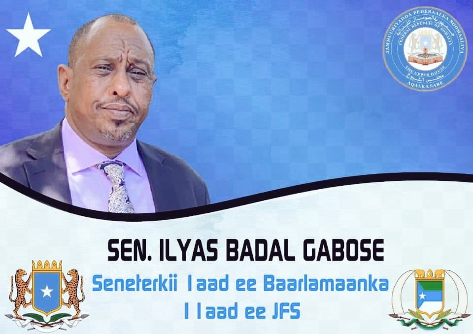 Mohamed Hussein Mohamed on LinkedIn: #somalia #primeminister