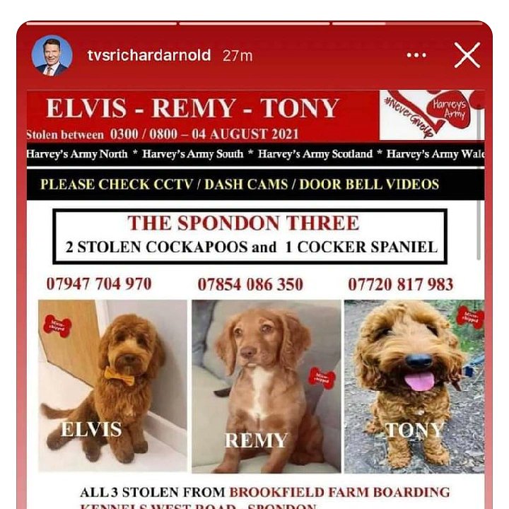 #spondon3 #Tony #Remy #Elvis who are these 2 people ? If you know them please either call Derbyshire police or you can tell me or @DogsofTooting We are closing in on you. Take the dogs to a vets and tie them up on a post outside. Let them go before you are nicked like your mate