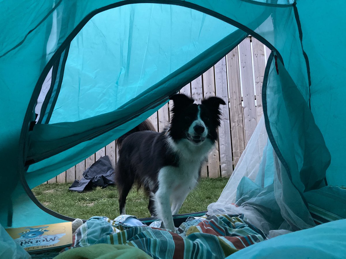 GarfittRachel's tweet photo. Last minute decision to camp out in the garden the night, another first for the kids. Had plenty of help setting up the tent, here’s hoping they sleep!!

#AHPsActive #myphysicalphoto https://t.co/GllFAAcwN5