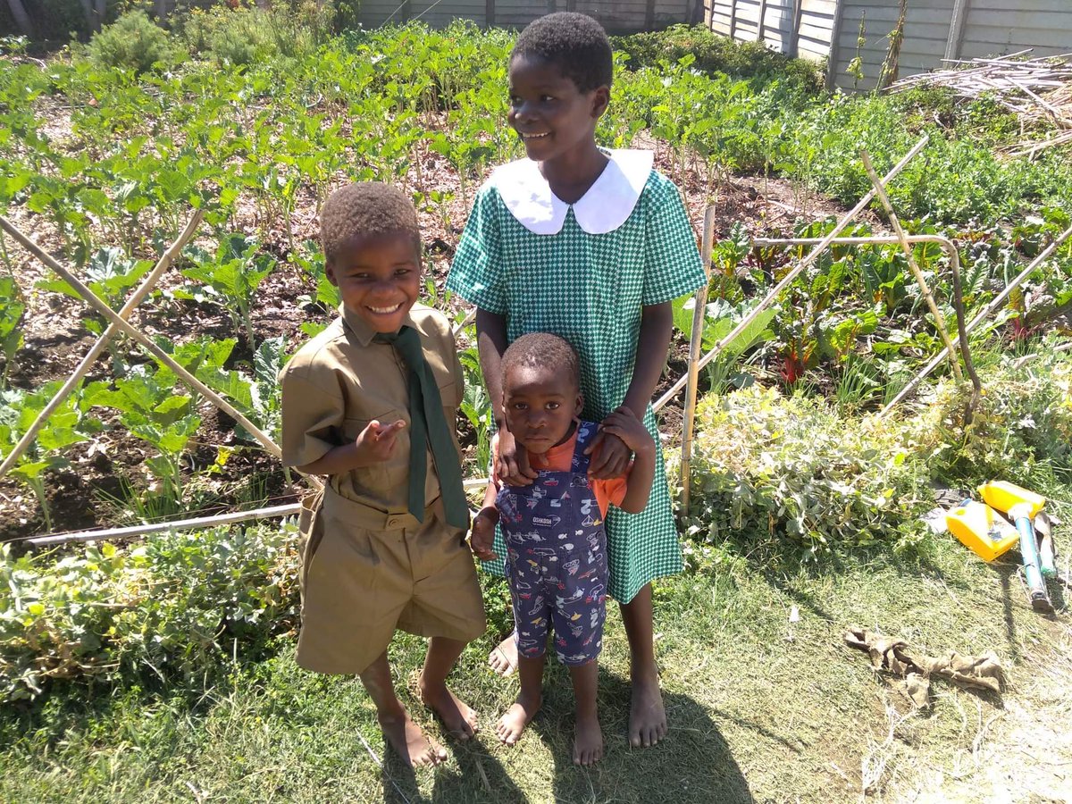 projectphoenixO's tweet photo. #WOTRProjectPhoenix is dedicated to forming an economy independent of, and completely outside the system. We will start in Zimbabwe, with our first step being the creation of permaculture food forests to feed the community. #NXS https://t.co/hZOy1197HQ