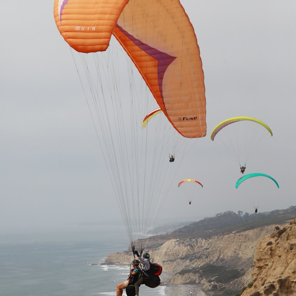 aliciaknight8's tweet photo. We travel not to escape life, but for life not to escape us🪂 #FlyTorrey #LearningtoFly #TravelMakesMeHappy https://t.co/rStn6HCQsX