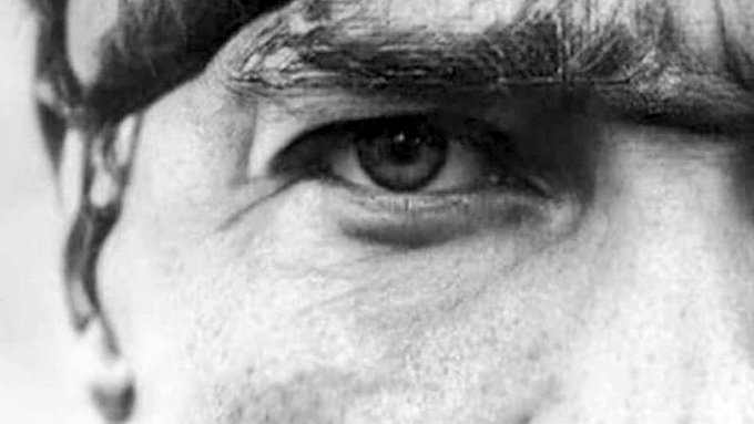 30 Ağustos Zafer Bayramı'mız kutlu olsun.
 🇹🇷🇹🇷🇹🇷🇹🇷🇹🇷🇹🇷🇹🇷
Anadolu'nun Türk Yurdu olduğunu 30 ağustos günü zaferle mühürleyen, Bağımsız Türk Cumhuriyetinin yolunu açan
M. K. Atatürk ve tüm Bozkurt ruhlu kahramanlarımıza sonsuza dek saygı ve vefa ile...
Minnettarım.