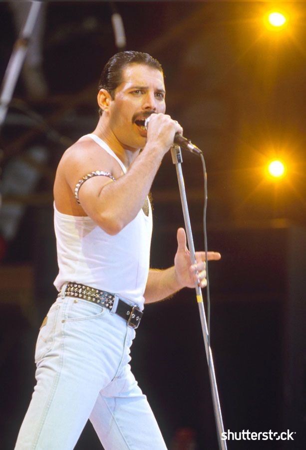 royal_soulmates's tweet photo. Freddie Mercury had the most versatile voice: every musical genre was his comfort zone because he conquered every type of music on his first try. https://t.co/d2djKgX8Xi