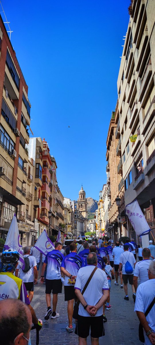 iJoseLuisPerez's tweet photo. La afición ha hablado @JaenLiberos #ElMementoDeLaAficion #RodriguezVeteYa #MembradoYRodriguezCulpables #SOSRealJaen #RealJaen https://t.co/eX0KfccTLr https://t.co/NsCnvpHccb