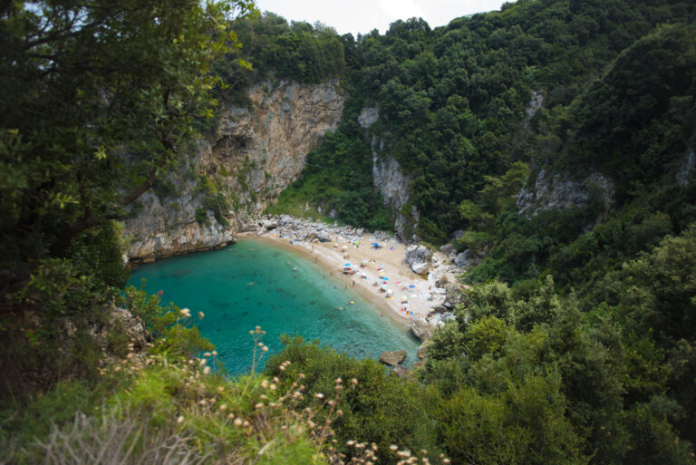 Rf5eNaXpdXDsGvq's tweet image. Καληνύχτεεεεεεεεεες
Μαραθιάς στο Πήλιο