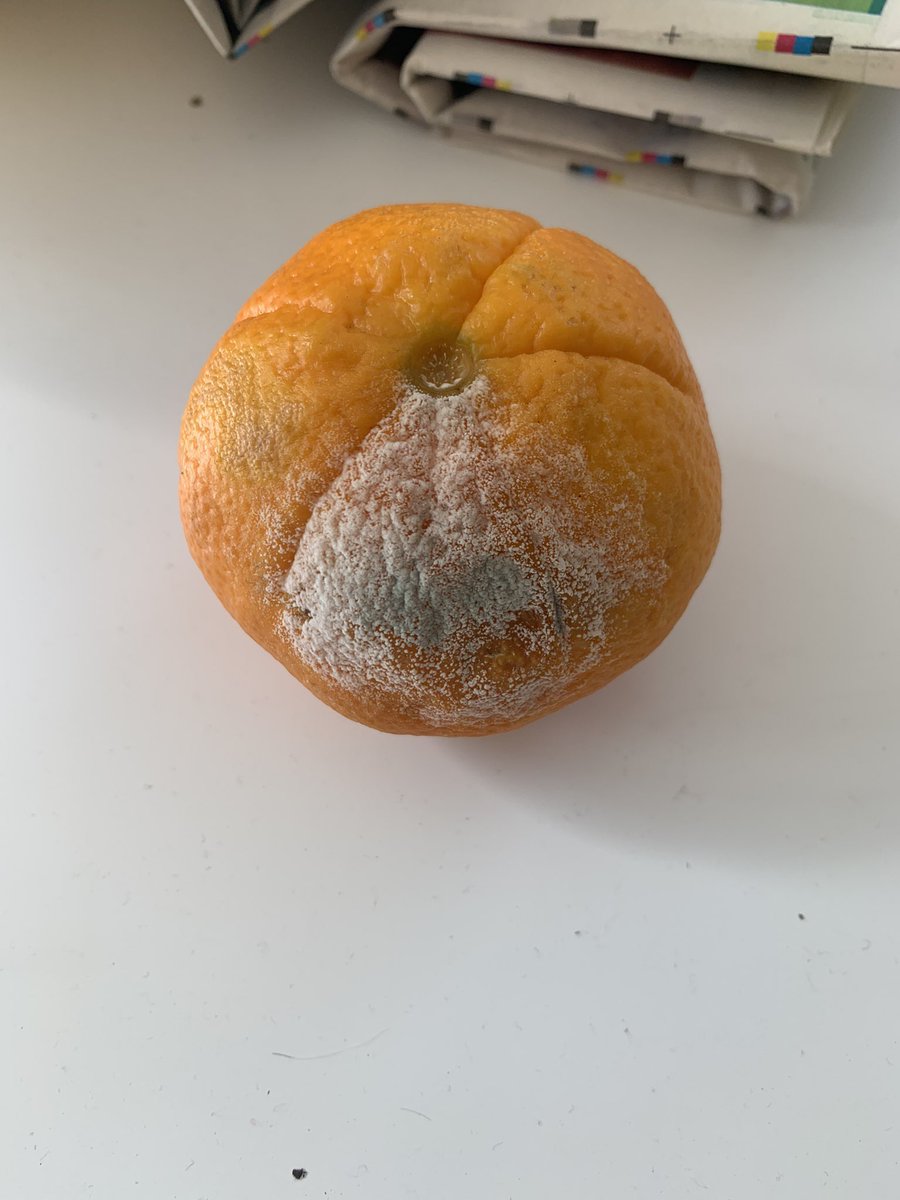 ebonzet's tweet image. Moulded Orange and Tomato in one shop! Really @WOOLWORTHS_SA , fresh produce not up to the standards that you were known for… Not even at sell by date yet.