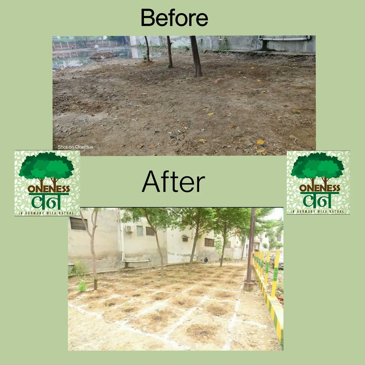 imkumarshanu's tweet image. I Planted a Tree because forest are the lungs of our lands with #onenessvann #Ghaziabad on 29th August

#Onenessvann
#santnirankarimission
#sncf

@OnenessVann 
@santnirankari 
@sncfoundation