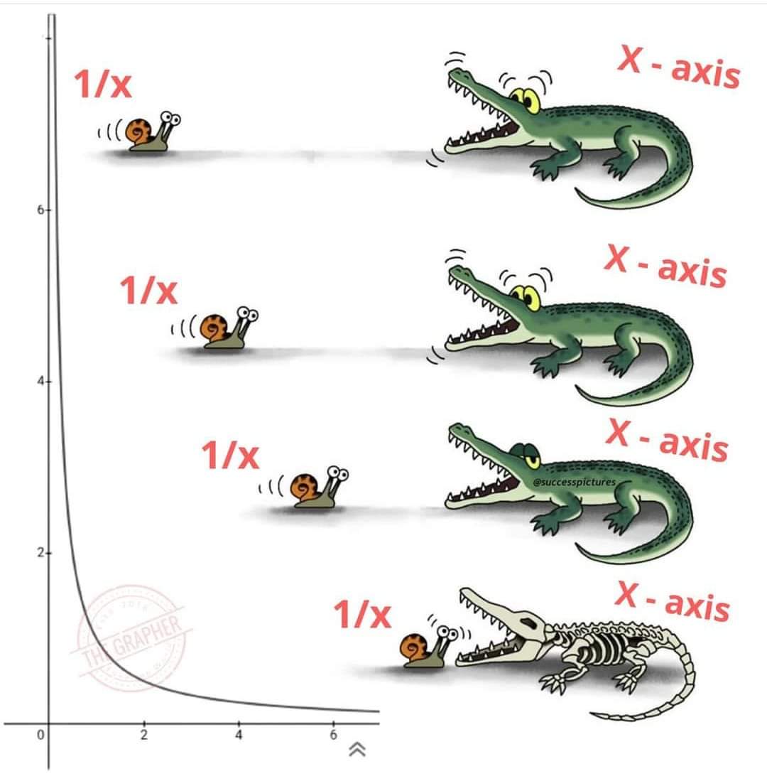 mathfruit's tweet photo. هذه الدالة لن تقاطع المحور السيني ابدا 
إلا أنها ستقترب جدا من الصفر 
وهي من اروع الأمثلة لتوضيح مفهوم الغاية في #الرياضيات .
#فاكهة_الرياضيات
#Math #MathFruit https://t.co/Xa3wpHiYtG