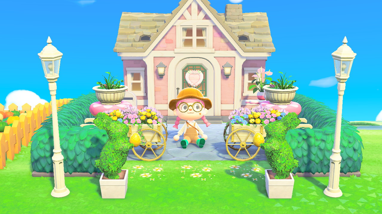 Baby Salmon on Twitter "AnimalCrossing ACNH NintendoSwitch…