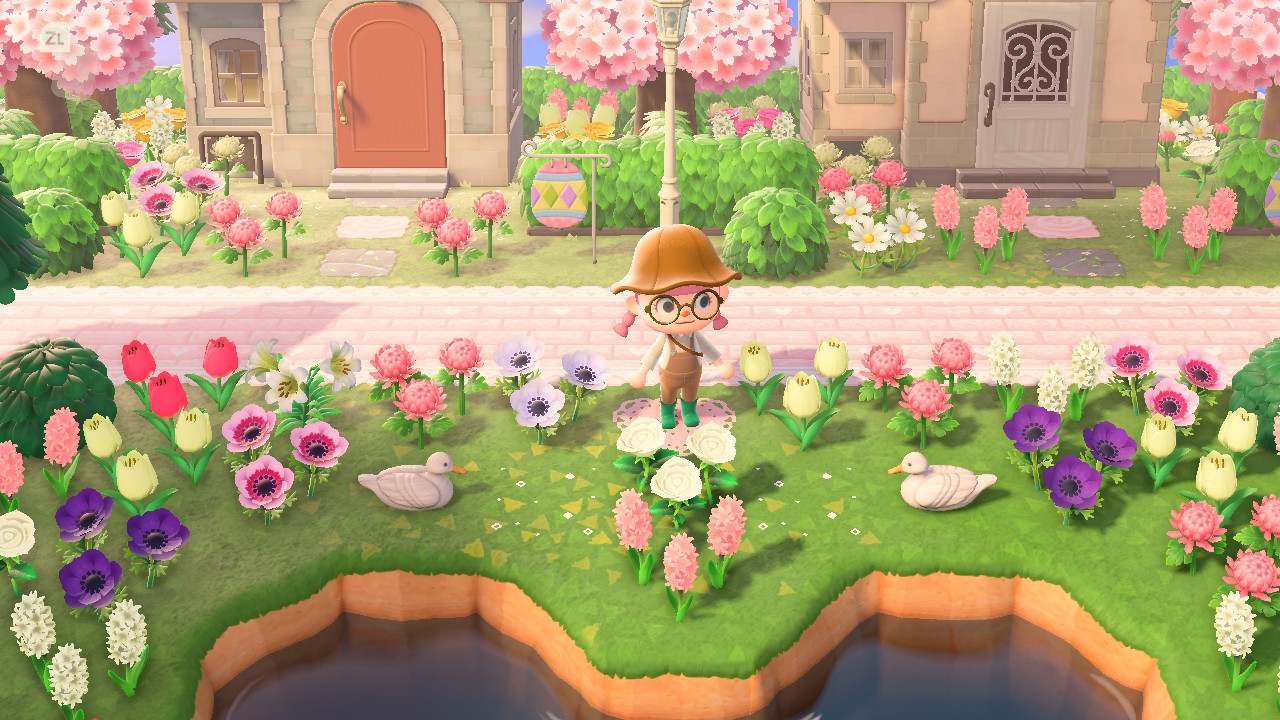 Baby Salmon on Twitter "AnimalCrossing ACNH NintendoSwitch…