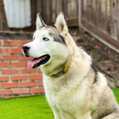 #NewProfilePic