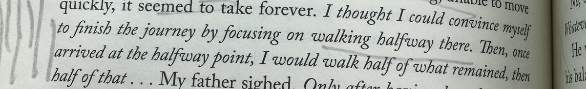 DF_Lewis's tweet image. #BrianEvenson

#ZenosParadox #Zenonism