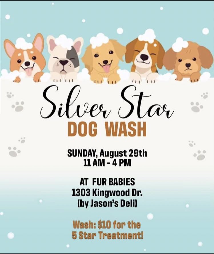 Its dog wash day! Make sure you say Sophia Canavan sent you!