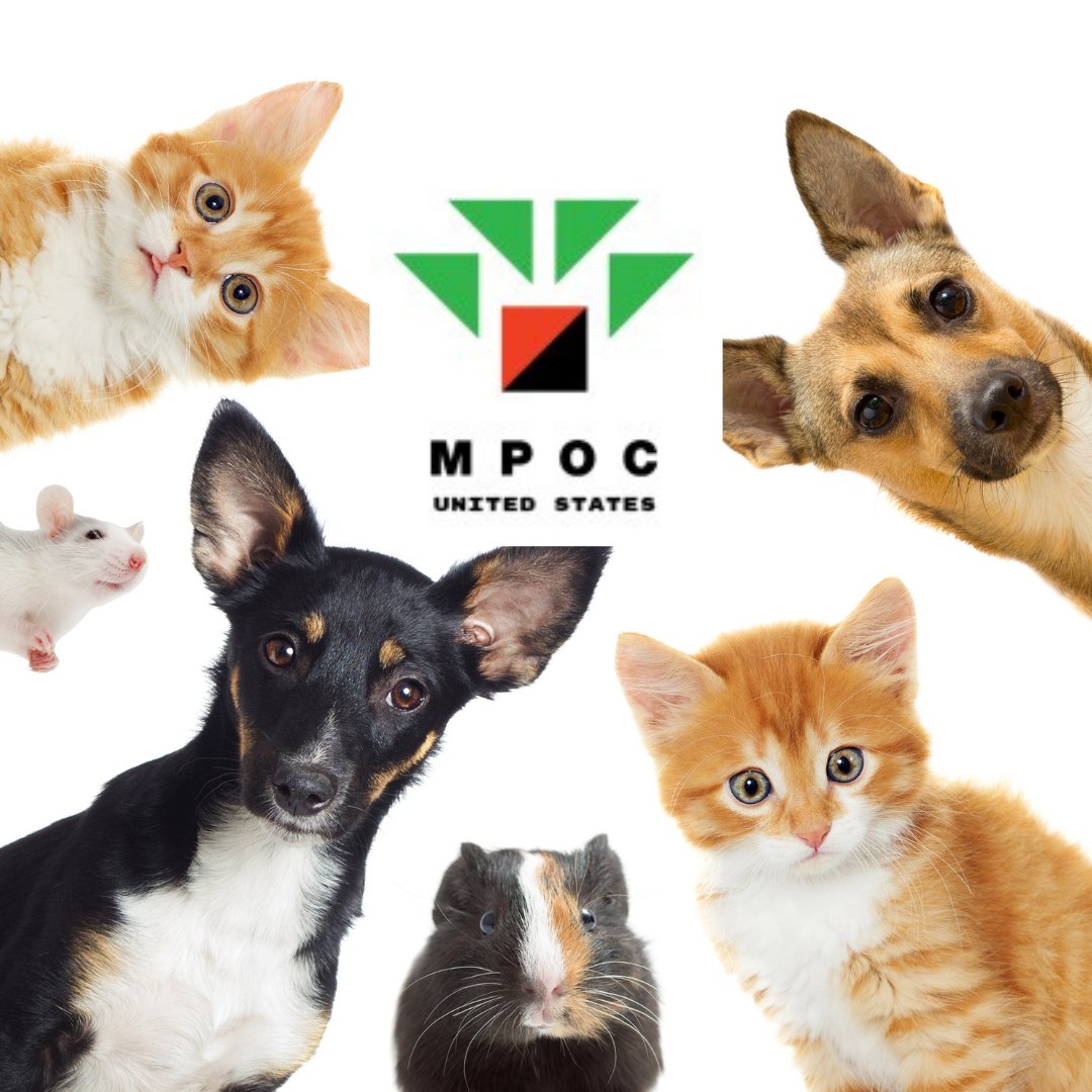 mpoc_us tweet picture