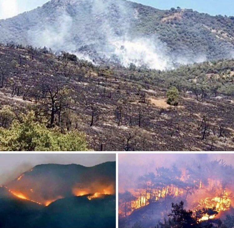 Dersim’deki yangınların bir an önce kontrol altına alınmasını diliyorum.
Kalbim ve dualarım Dersim’le. Geçmiş olsun🙏🏻
#DersimYanıyor